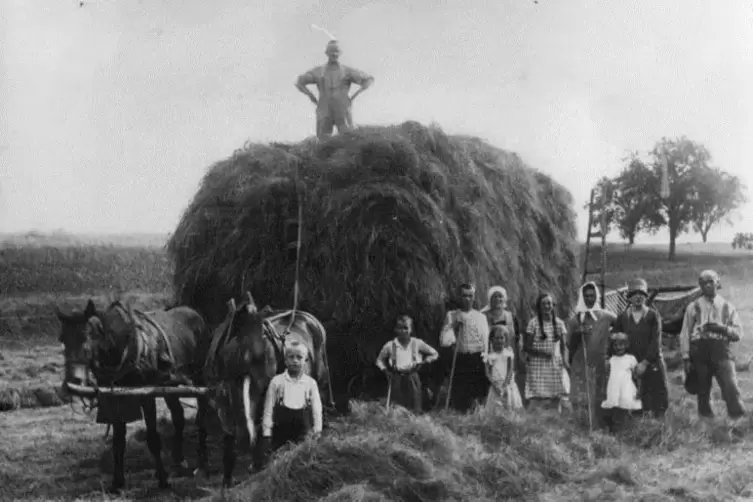 Heuernte in Schrollbach mit Bauer Julius Zinsmeister.  Foto: Archiv Richter