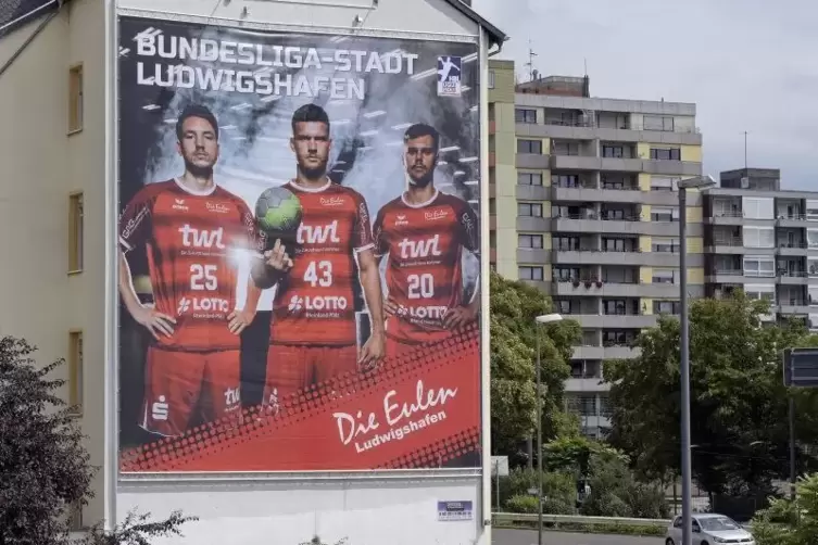 Die Eulen – eine starke Werbewand in Ludwigshafen. Foto: KUNZ