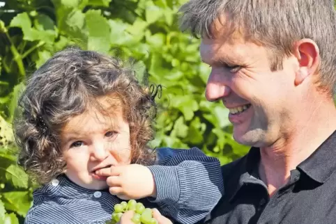 Naschte gestern bei der Lese immer wieder gerne von den Trauben: die kleine Leni, die ihr Vater Gerhard Nett hier auf dem Arm hä