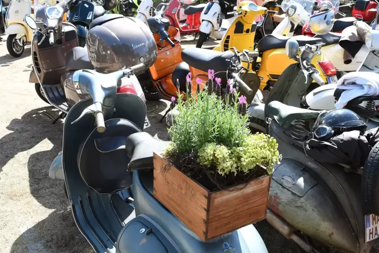 vespa3.JPG