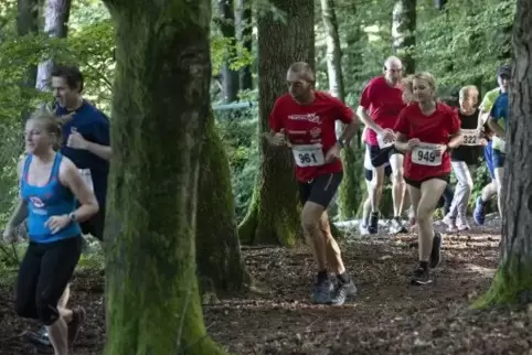Die langgezogenen Anstiege beim Holzlandlauf haben es in sich.  Foto: VIEW