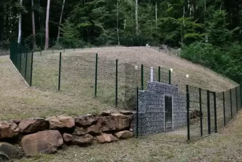 Die fünf Quellen im Modenbachtal liefern jährlich 276.000 Kubikmeter Trinkwasser.  Foto: van
