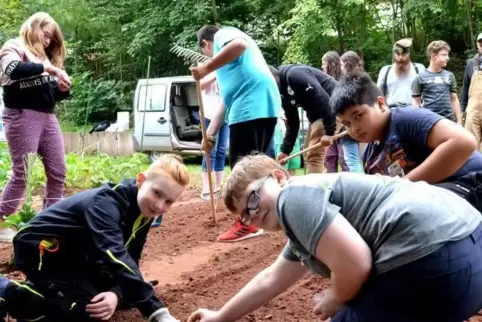 In den Ferien verwüsteten Unbekannte den Schulacker. Nicht unterkriegen lassen, lautet das Motto der Kinder. Elias Dahler, Johan