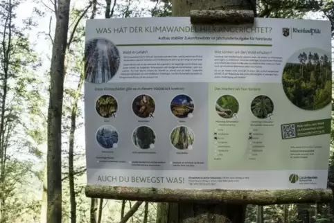 Mit einer Plakataktion macht das Forstamt Hinterweidenthal an frequentierten Wanderwegen auf die Folgen des Klimawandels für den