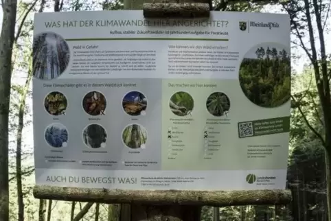 Mit Plakaten macht das Forstamt an frequentierten Wanderwegen auf die Folgen des Klimawandels für den Wald aufmerksam.  Foto: Fr