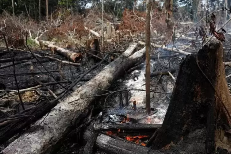 Im Amazonasgebiet wüten verheerende Brände. Foto: REUTERS