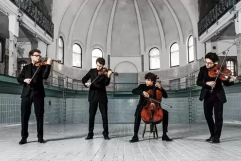 Das „Vision String Quartet“ spielt Werke von Haydn, Bacewicz und Schumann. Foto: Vision String Quartet