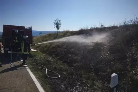 Der Brand entlang der Straße konnte rasch gelöscht werden.  Foto: SCHLEMMER