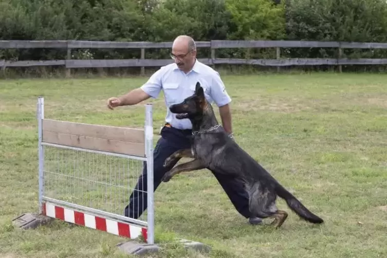 Ein Team: BASF-Diensthundef&uuml;hrer Suat Bargu mit Sch&auml;ferhund Argon. Foto: BASF