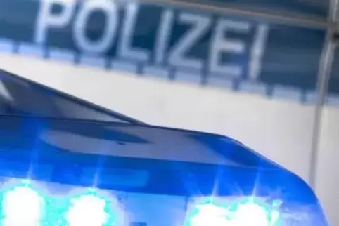 Im Streifenwagen durfte die Seniorin mit fahren – selbstverständlich ohne Blaulicht. Archivfoto: picture alliance / dpa