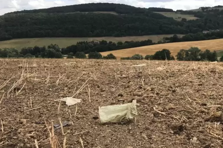 Wenn die Folien dem Wind ausgesetzt sind, zersetzen sie sich und werden &uuml;ber die &Auml;cker geweht. Foto: Glaser