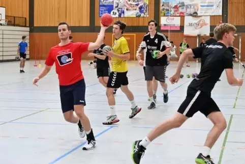 Drei verschiedene Trainingshallen: die HSG Dudenhofen/Schifferstadt. Foto: Lenz
