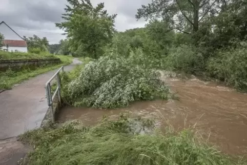 Braune Fluten: Mitte Juni 2018 führte die Lauter Hochwasser. Da künftig öfter mit Unwettern gerechnet werden muss, wird sich ein