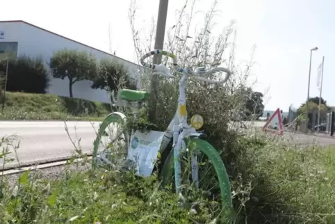 Da steht etwas im Busch. Foto: abf