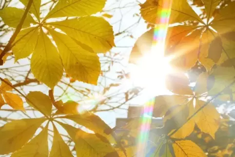 Mit dem September beginnt für die Meteorologen der Herbst.  Foto: Stephanie Pilick/dpa