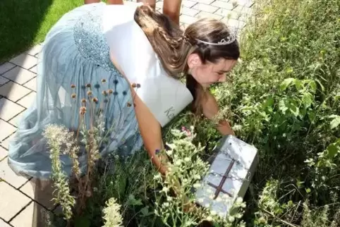 Die Kerwe wurde von Antonia I. mit Eselchen als Unterstützung ausgegraben.  Foto: KUNZ