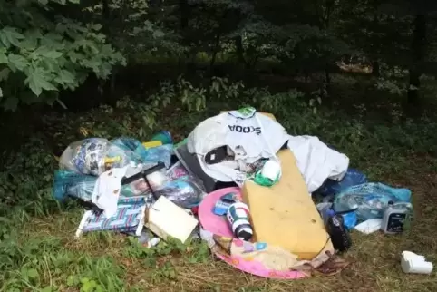 Müll einfach neben die Straße gekippt. Dabei wurde auch Erdreich durch Öl verseucht. Foto: Polizei