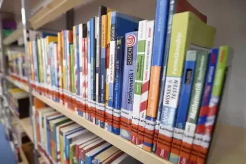 Tara Kuß hat die meisten Bücher beim Waldfischbacher Lesesommer gelesen. Archivfoto: BOLTE
