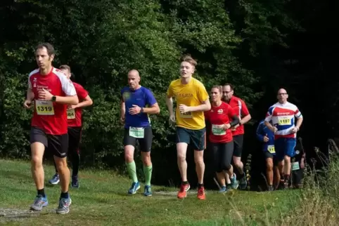 Ins Grüne hinein: Pfälzerwald-Marathon. Foto: Seebald