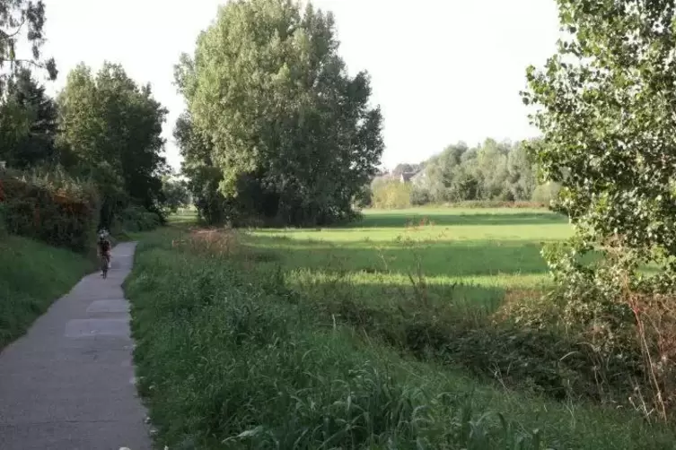Rheinradweg amm Neckar: ein Paradies für Radler und Spaziergänger.