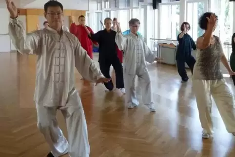 Meister Yu Chang Fu (links) war bereits mehrmals in der Südpfalz.