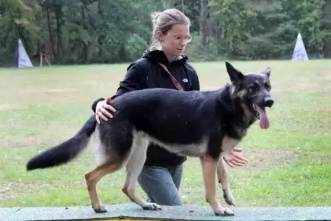 Hunde brauchen Bewegung, weiß Anne-Marie Pilz vom Schifferstadter Hundeverein.