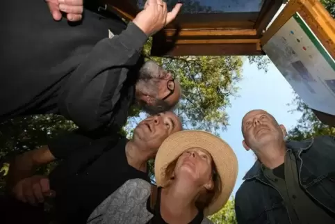 Wissenswertes über Bienen können Besucher des Imkerfests erfahren.