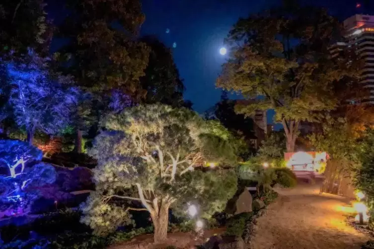 Der Vollmond wird über der illuminierten Anlage des Japanischen Gartens stehen.