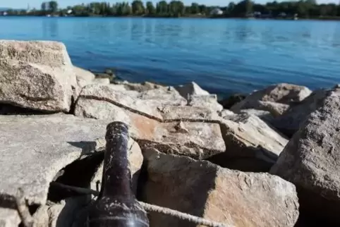 Am Rhein liegt viel Müll. Durch Aktionen wie das „Rhine Clean Up“ soll es weniger werden, wenigstens vorübergehend.