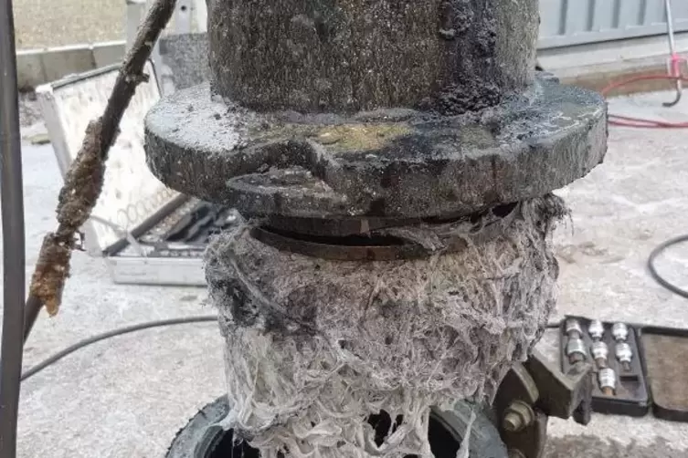 Verstopftes Pumpwerk in Speyer.