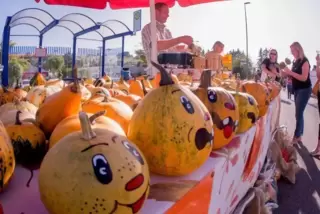 Überall glückliche Gesichter beim Bauernmarkt in Rammelsbach.