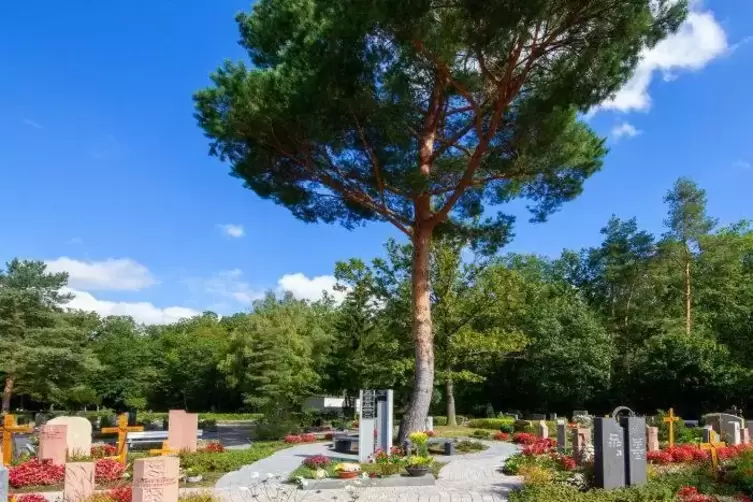 In Schifferstadt gibt es bereits einen Memoriam-Garten. Den Limburgerhofern gefällt die Idee. Nun geht es darum, wie und ob sie 