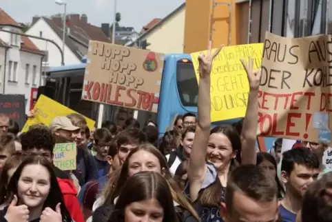 Ein großes Echo fand die Fridays-for-Future-Demo in Zweibrücken.