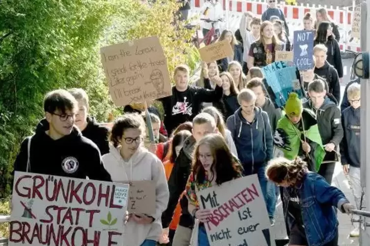 Die jungen Leute auf ihrem Demonstrationszug durch Kirchheimbolanden.