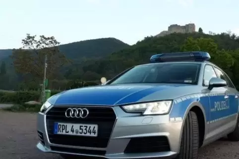 Nachfolger gesucht: Weil der Leasing-Vertrag für den bisherigen ausläuft, soll die rheinland-pfälzische Polizei ab 2020 einen ne