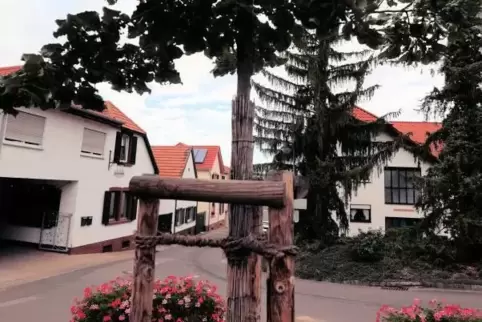 Wo einst in Bissersheim die Luitpoldlinde stand, wächst längst ein neuer Baum.
