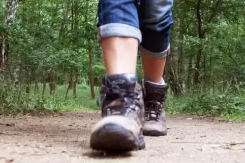 42 Kilometer nehmen die Teilnehmer beim Rodalber Wandermarathon unter die Füße