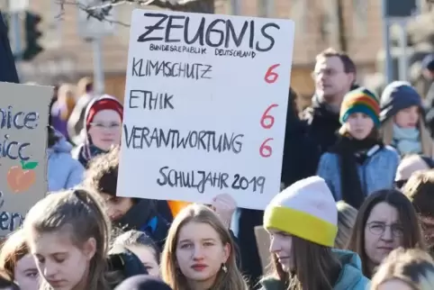 Immer wieder freitags: Anfangs waren es vor allem Schüler, zunehmend gehen auch Erwachsene für den Klimaschutz auf die Straße.