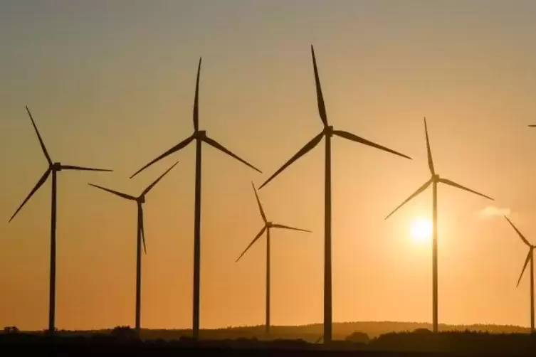 Windr&auml;der sollten nach Ansicht von Forschern nur auf freien Fl&auml;chen aufgestellt werden.