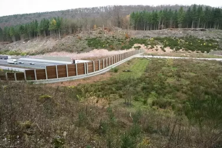 Gr&uuml;nbr&uuml;cken wie hier an der B 10 vernetzen die Gebiete, in denen Wildkatzen leben.