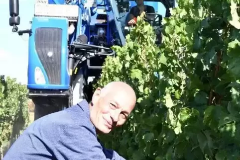 Sehr zufrieden: der Dürkheimer Winzer Rolf Bart bei der Lese seiner Trauben.