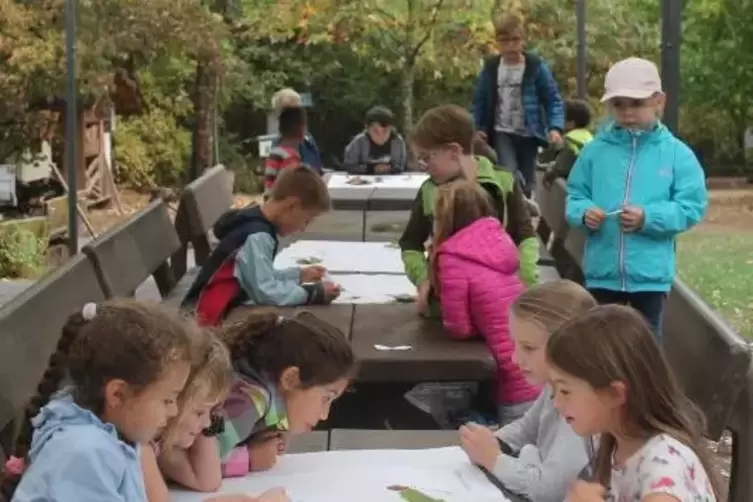Anschlie&szlig;end d&uuml;rfen die Kinder B&auml;ume bestimmen.