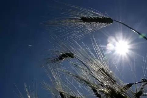 Rheinland-Pfalz hat einen trockenen und sonnenreichen September hinter sich. 