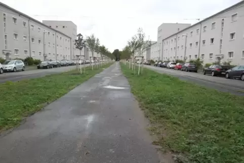 Zeitzeugin Lore Metzger ist in der Ludwigshafener Ebertstraße geboren worden; gegenüber ihres Geburtshauses wohnt sie noch heute