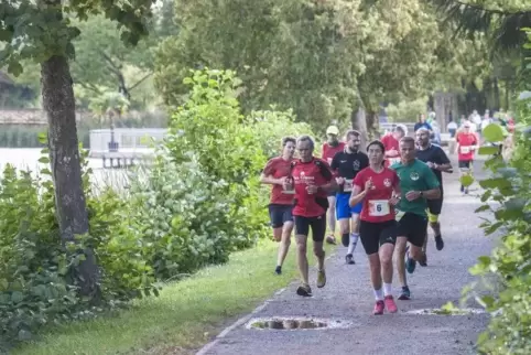 Landschaftlich reizvoll war die Strecke beim Seewoog-Lauf.