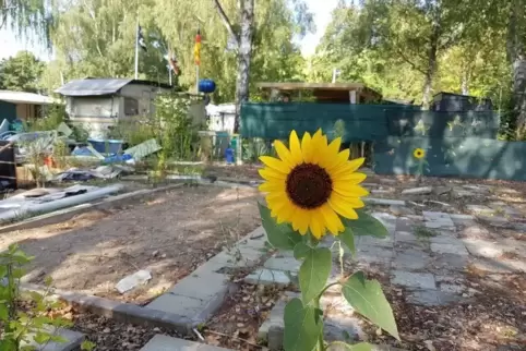 Wo einst Camper ihre Freizeit verbrachten, herrscht heute vielerorts Leere: Blumen wachsen inmitten zurückgelassener Bodenplatte