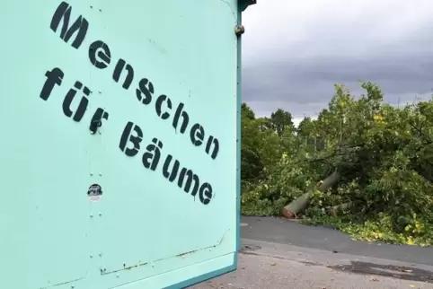 91-129839012_20191002_lasp_jahnplatz_baumfaellung_gerst_15.jpg