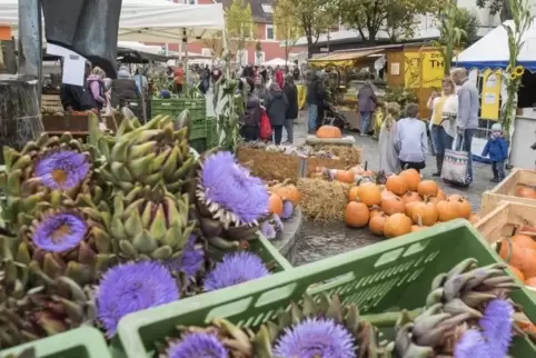 Bunte Vielfalt: Obst und Gemüse werden beim Bauernmarkt angeboten. Unser Bild von 2017 zeigt vorne Artischockenblüten.