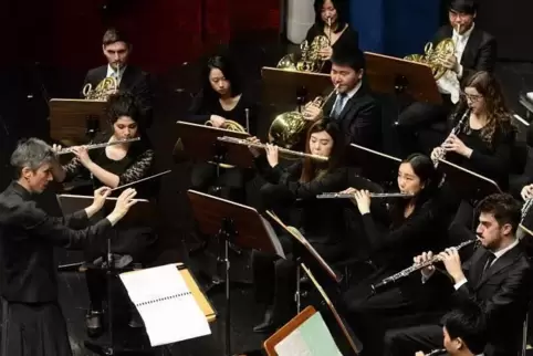 Das Sinfonieorchester der Musikschule Mannheim 2016 unter Leitung von Cosima Sophia Osthoff.