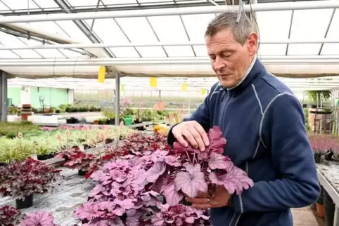 Andreas Wagner-Dachs von der Firma Gartenbau Dachs empfiehlt, die Kübelpflanzen vor der Überwinterung auf Schädlingsbefall zu ko